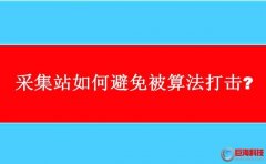 西安seo培訓：采集站如何避免被算法打擊?